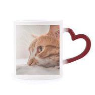 Dıythinker Kırmızı Çok Renkli Hayvan Saf Kedi Fotoğrafı Resim Şekil Isıya Duyarlı Kalp Kupası