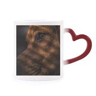 Dıythinker Kırmızı Çok Renkli Köpek Evcil Hayvan Duygusal Resim Isıya Duyarlı Kalp Kupası