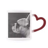 Dıythinker Kırmızı Çok Renkli Köpek Evcil Hayvan Hayvan Gri Resim Şekil Isıya Duyarlı Kalp Kupa