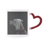 Dıythinker Kırmızı Çok Renkli Köpek Evcil Hayvan Yalnız Gece Isıya Duyarlı Kalp Kupası