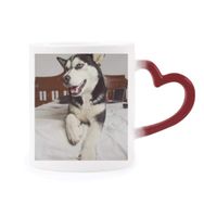 Dıythinker Kırmızı Çok Renkli Köpek Hayvan Oda Husky Resim Şekil Isıya Duyarlı Kalp Kupa