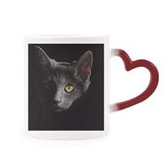 Dıythinker Kırmızı Çok Renkli Siyah Kedi Hayvan Vahşi Görünüş Koyu Renk Isıya Duyarlı Kalp Kupası