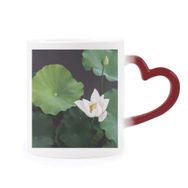 Dıythinker Kırmızı Çok Renkli Taze Lotus Yaprağı Bitki Resmi Doğa Isıya Duyarlı Kalp Kupası