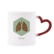 Dıythinker Kırmızı Çok Renkli Vücut Organları Akciğer Organları Şekil Isıya Duyarlı Kalp Kupası