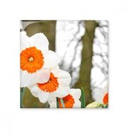 Dıythinker Kırmızı ve Beyaz Çiçekler Ağaçlar Seramik 10x10 cm Seramik Karo