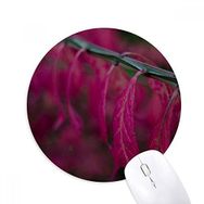 Dıythinker Kırmızı Yaprak Bitki Doğa Fotoğrafçılığı Baskılı Yuvarlak Kaymaz Kauçuk Mouse Pad