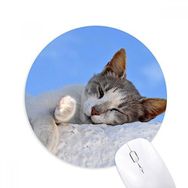 Dıythinker Kitty Cat Pet Relax Sleep Animal Sevimli Baskılı Yuvarlak Kaymaz Kauçuk Mouse Pad