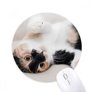 Dıythinker Kitty Cat Stripes Relax Sleep Animal Baskılı Yuvarlak Kaymaz Kauçuk Mouse Pad