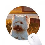 Dıythinker Köpek Beyaz Hayvan Yalnız Gece Baskılı Yuvarlak Kaymaz Kauçuk Mouse Pad