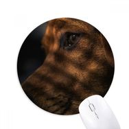 Dıythinker Köpek Evcil Hayvan Duygusal Resim Baskılı Yuvarlak Kaymaz Kauçuk Mouse Pad