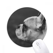 Dıythinker Köpek Evcil Hayvan Hayvan Gri Resim Baskılı Yuvarlak Kaymaz Kauçuk Mouse Pad