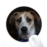 Dıythinker Köpek Evcil Hayvan Koyu Resim Baskılı Yuvarlak Kaymaz Kauçuk Mouse Pad