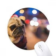 Dıythinker Köpek Evcil Hayvan Yalnız Fotoğraf Baskılı Yuvarlak Kaymaz Kauçuk Mouse Pad