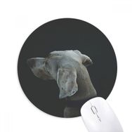 Dıythinker Köpek Evcil Hayvan Yalnız Gece Baskılı Yuvarlak Kaymaz Kauçuk Mouse Pad