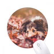 Dıythinker Köpek Evcil Hayvan Yaprak Fotoğraf Baskılı Yuvarlak Kaymaz Kauçuk Mouse Pad
