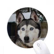Dıythinker Köpek Hayvan Kar Husky Fotoğrafçılık Baskılı Yuvarlak Kaymaz Kauçuk Mouse Pad