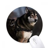Dıythinker Köpek Husky Hayvan Yalnız Gece Baskılı Yuvarlak Kaymaz Kauçuk Mouse Pad