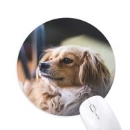 Dıythinker Köpek Küçük Hayvan Yalnız Fotoğraf Baskılı Yuvarlak Kaymaz Kauçuk Mouse Pad