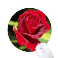 Dıythinker Koyu Kırmızı Güller Çiçekler Baskılı Yuvarlak Kaymaz Kauçuk Mouse Pad