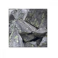 Dıythinker Koyu Taş Parçaları Duvar Kağıdı Çatlaklar Yosun Seramik 10x10 cm Seramik Karo