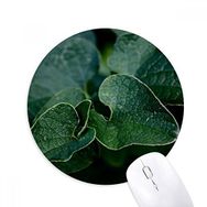 Dıythinker Koyu Yaprak Bitki Resmi Doğa Baskılı Yuvarlak Kaymaz Kauçuk Mouse Pad