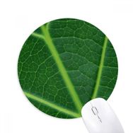 Dıythinker Koyu Yeşil Bitki Doğa İllüstrasyon Desen Baskılı Yuvarlak Kaymaz Kauçuk Mouse Pad