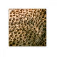 Dıythinker Leopar Tüyü Soyut Tasarım 10x10 cm Seramik Karo
