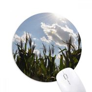 Dıythinker Mavi Gökyüzü Bulutları Beyaz Baskılı Yuvarlak Kaymaz Kauçuk Mouse Pad