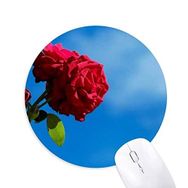 Dıythinker Mavi Gökyüzü Kırmızı Güller Yeşil Yapraklar Baskılı Yuvarlak Kaymaz Kauçuk Mouse Pad