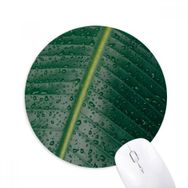Dıythinker Muz Yaprağı Bitki Resmi Doğa Dünya Baskılı Yuvarlak Kaymaz Kauçuk Mouse Pad