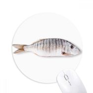 Dıythinker Okyanus Balık Etkinliği Kıvırcık Baskılı Yuvarlak Kaymaz Kauçuk Mouse Pad