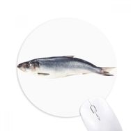 Dıythinker Okyanus Balık Etkinliği Uzun Enlace Baskılı Yuvarlak Kaymaz Kauçuk Mouse Pad