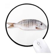 Dıythinker Okyanus Balıkları Aktivite Kıvırcık Yuvarlak Kaymaz Mouse Pad