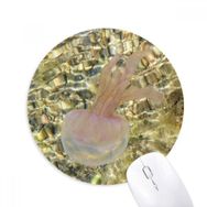 Dıythinker Okyanus Deniz Anası Bilim Doğa Resmi Baskılı Yuvarlak Kaymaz Kauçuk Mouse Pad