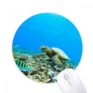 Dıythinker Okyanus Deniz Kaplumbağa Balık Bilim Doğa Resim Baskılı Yuvarlak Kaymaz Kauçuk Mouse Pad