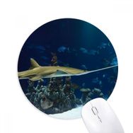 Dıythinker Okyanus Işını Paten Bilim Doğa Resmi Baskılı Yuvarlak Kaymaz Kauçuk Mouse Pad