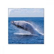 Dıythinker Okyanus Kambur Balık Bilimi Doğa Resim 20x20 cm Seramik Karo