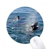 Dıythinker Okyanus Katil Balina Doğa Resmi Baskılı Yuvarlak Kaymaz Kauçuk Mouse Pad
