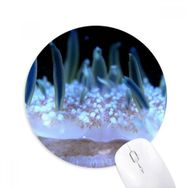 Dıythinker Okyanus Mavi Deniz Anası Bilim Doğa Baskılı Yuvarlak Kaymaz Kauçuk Mouse Pad
