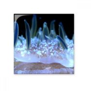 Dıythinker Okyanus Mavi Deniz Anası Bilim Doğa Resim Seramik 10x10 cm Seramik Karo