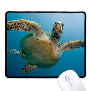 Dıythinker Okyanus Mavi Su Kaplumbağası Bilim Doğa Resmi Kaymaz Siyah Başlıklı Kenarlar Mouse Pad