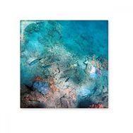 Dıythinker Okyanus Renkli Balık Bilimi Doğa Resim 20x20 cm Seramik Karo