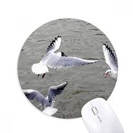 Dıythinker Okyanus Su Deniz Kuş Bilim Doğa Resmi Baskılı Yuvarlak Kaymaz Kauçuk Mouse Pad