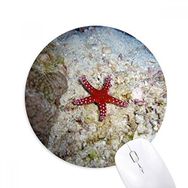 Dıythinker Okyanus Su Deniz Yıldızı Doğa Resmi Baskılı Yuvarlak Kaymaz Kauçuk Mouse Pad