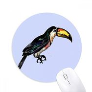 Dıythinker Painting Toco Tropik Kuş Baskılı Yuvarlak Kaymaz Kauçuk Mouse Pad