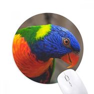Dıythinker Pcture Karasal Organizma Hayvan Papağan Baskılı Yuvarlak Kaymaz Kauçuk Mouse Pad