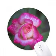 Dıythinker Pembe Güzel Çiçek Yaprakları Baskılı Yuvarlak Kaymaz Kauçuk Mouse Pad
