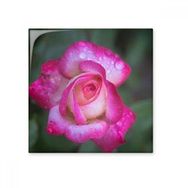 Dıythinker Pembe Güzel Çiçekler Yapraklar 20x20 cm Seramik Karo