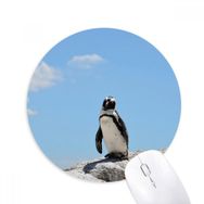 Dıythinker Penguen Okyanus Antarktik Bilim Doğa Resim Baskılı Yuvarlak Kaymaz Kauçuk Mouse Pad