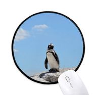 Dıythinker Penguen Okyanus Antarktika Bilim Doğa Resim Yuvarlak Kaymaz Mouse Pad